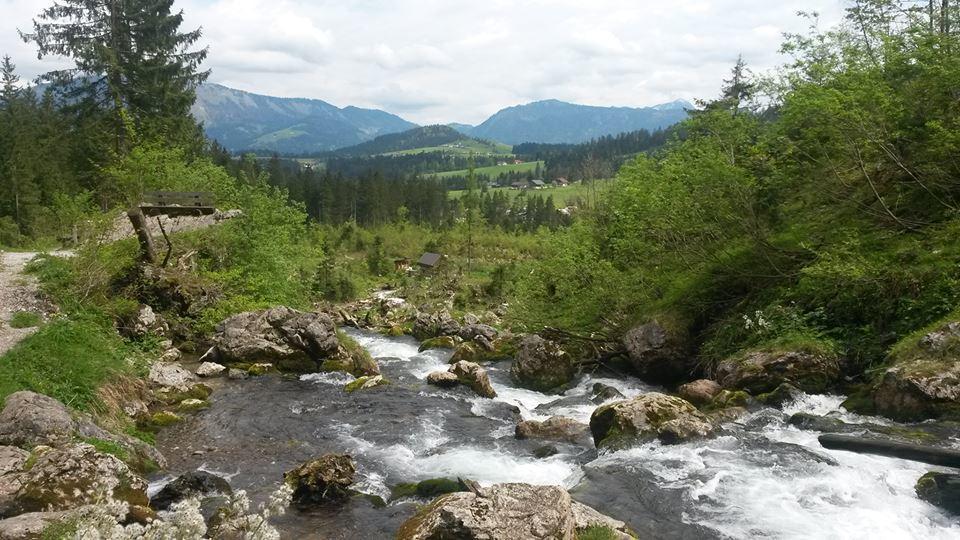 Ferienhaus Marianne Abtenau Dış mekan fotoğraf