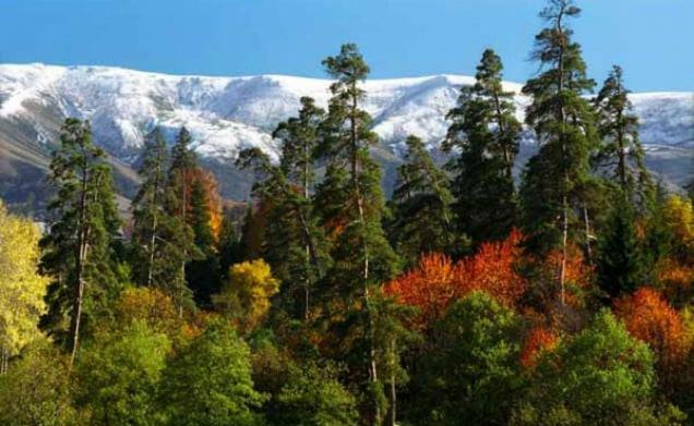 Ferienhaus Marianne Abtenau Dış mekan fotoğraf