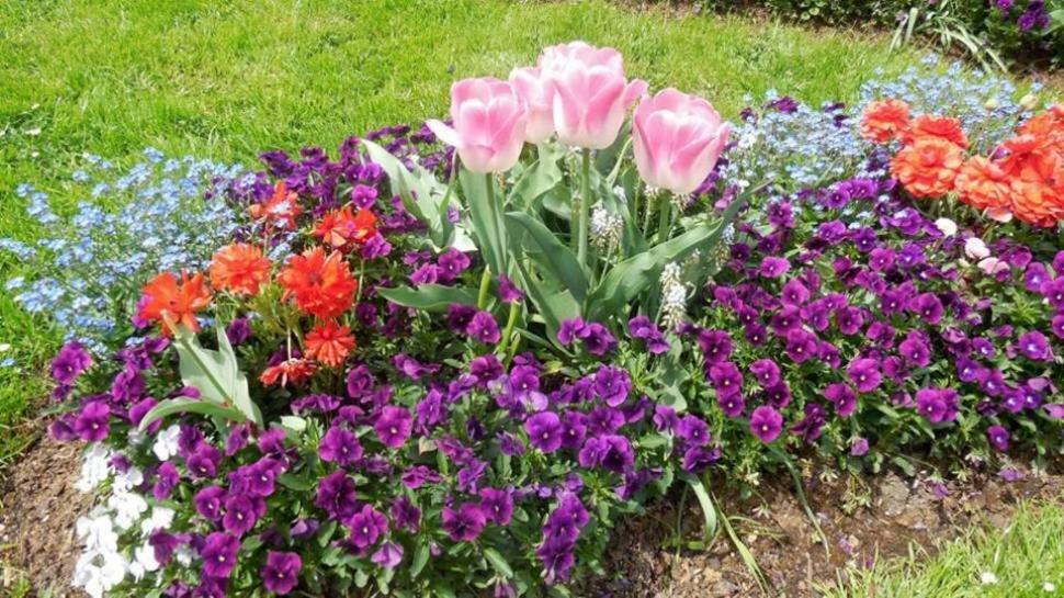 Ferienhaus Marianne Abtenau Dış mekan fotoğraf