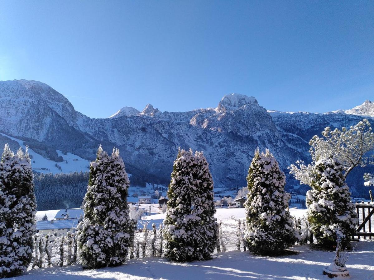 Ferienhaus Marianne Abtenau Dış mekan fotoğraf